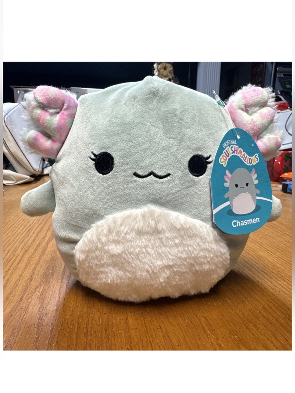 Squishmallows Chasmen Plush - Mint Green with White Belly and Pink Accents NWT